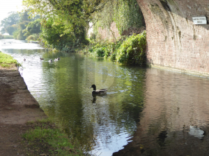 Where to eat in Devon, Sampford Peverell, Devon