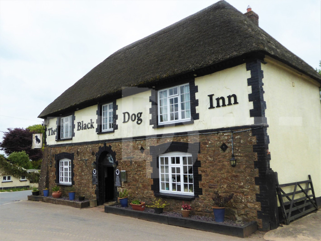 The Black Dog Inn, Crediton | Places to eat in Devon