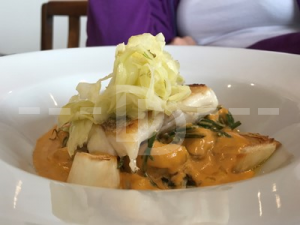 Roast Hake for main course at The Royal George, Appledore